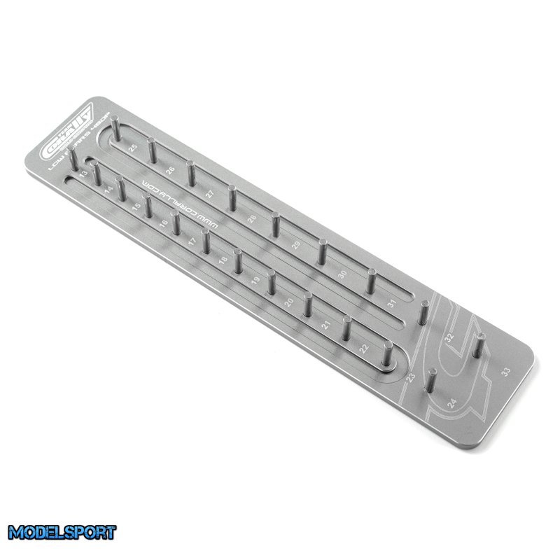 Team Corally - Pinion Caddy 48DP - 21 Pinions - � 3.17mm