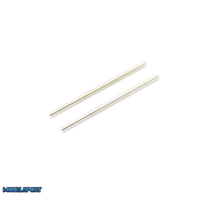 Ishima - Battery Door Hinge Pins 2.5*56mm, 2 pcs